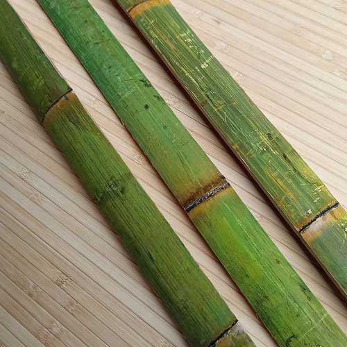 Бамбук рейка зелёная фото