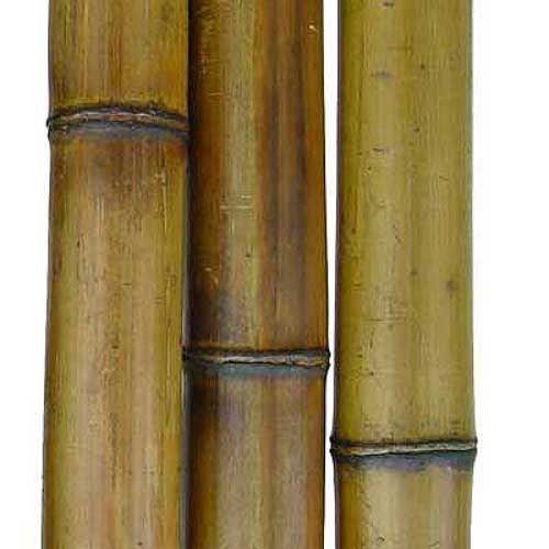 Бамбуковый ствол 6 - 7 см