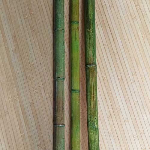 Половинка бамбука зелёная фото