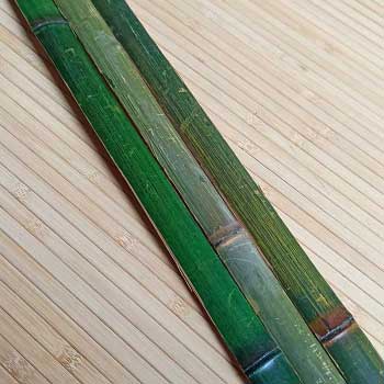 Бамбуковая рейка зелёная