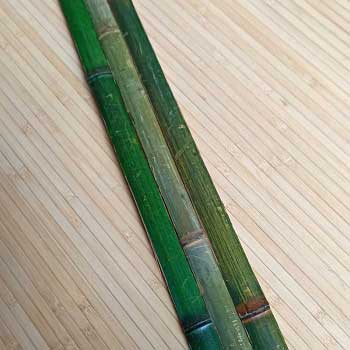 Бамбук рейка зелёная 2,5 см фото
