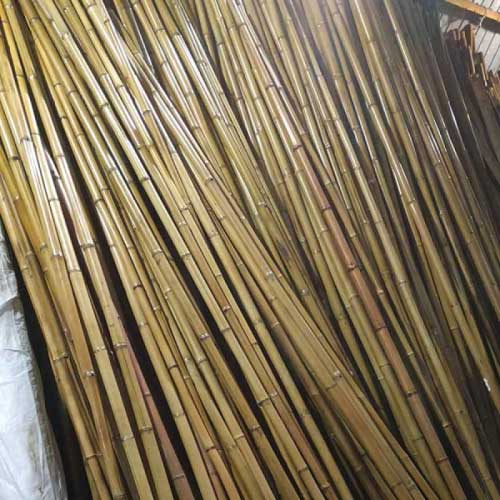 бамбуковый ствол купить