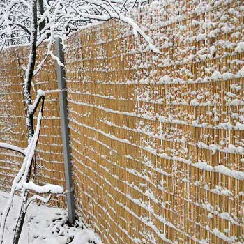 Тростниковый забор 160 x 600 см