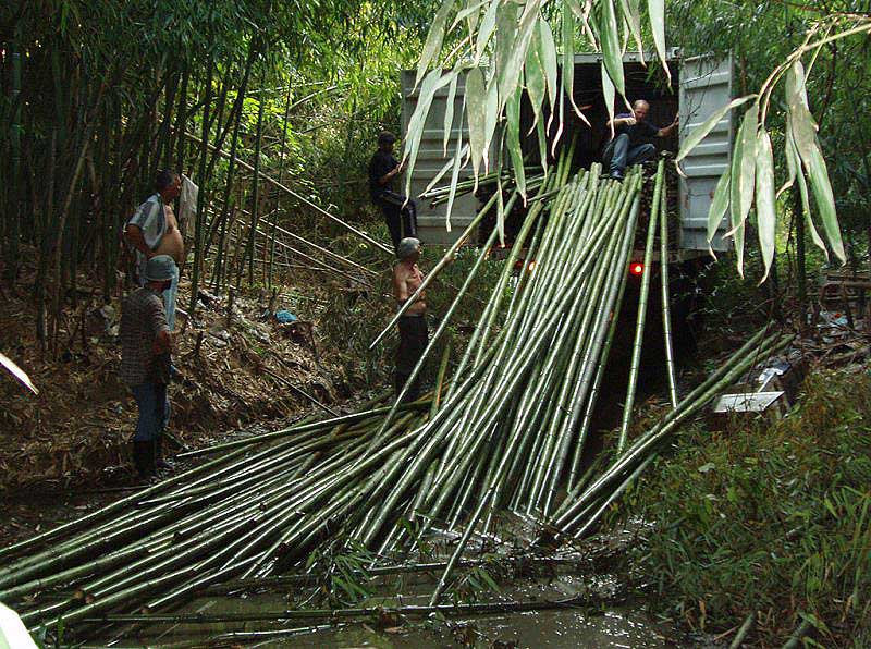 Заготовка бамбука детали