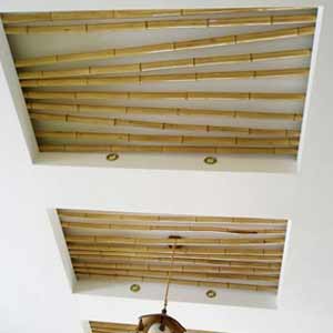 Бамбук на потолке
